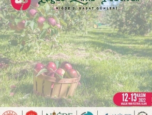 Niğde 2nd Harvest Days - Apple Festival Galeri